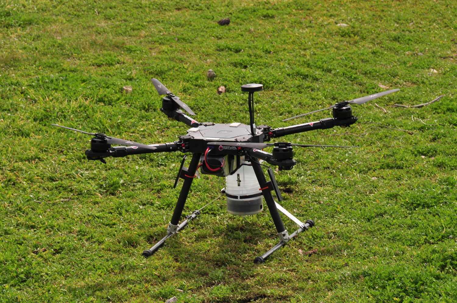 Γεωπονικό Πανεπιστήμιο Αθηνών: Πιλοτική τεχνική αναδάσωσης μέσω drone για πρώτη φορά στην Ελλάδα