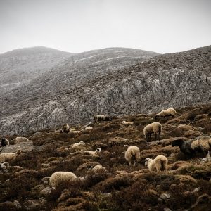 Κέλλας για ευλογιά: Ερχόμαστε όλο και πιο κοντά στο lockdown