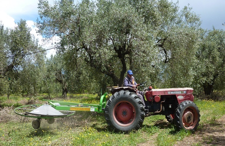 Σχέδια βελτίωσης: Τι ισχύει με την αγορά γης – Οι επενδύσεις