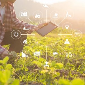 Γεωργία: Λιγότερες φάρμες, περισσότερη τεχνολογία