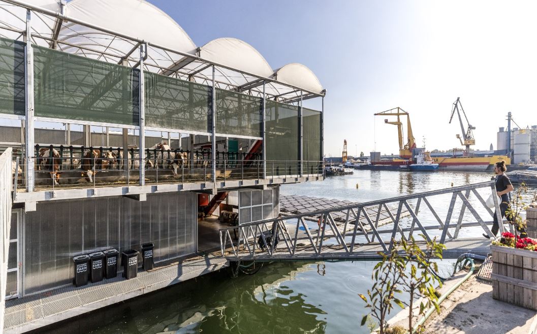 Politico: Μια πλωτή φάρμα στο λιμάνι του Ρότερνταμ