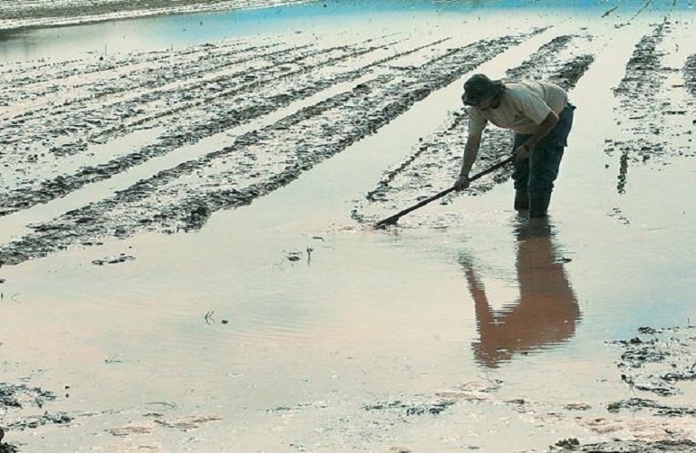 ΕΛΓΑ: Έρχονται αποζημιώσεις για ζημιές από θεομηνίες – Ποιους αφορά