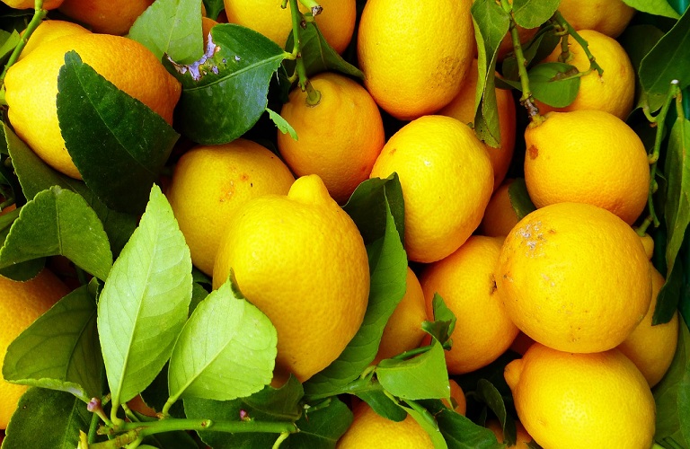 EU blocks improperly imported Turkish lemons and grapefruit