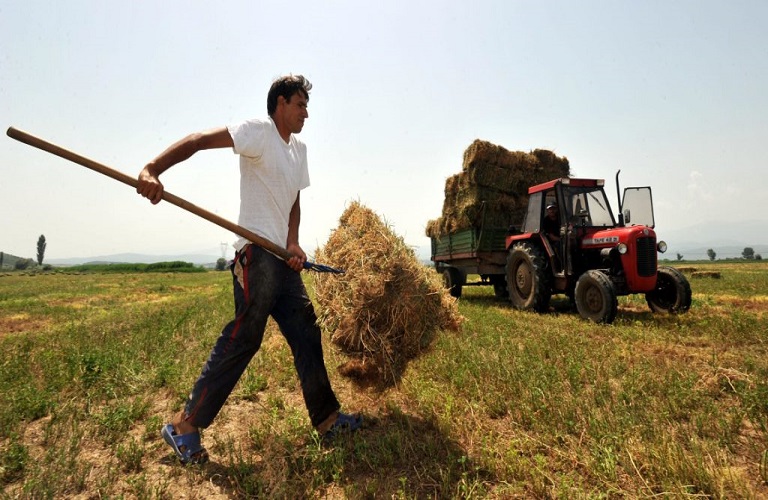Νέοι αγρότες: Εντάξεις ύψους 38,7 εκατ. ευρώ στη Στερεά Ελλάδα