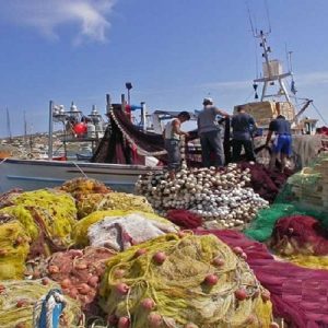 Αλιεία: Πώς θα ενταχθούν αλιείς στο πρόγραμμα στήριξης των 16 εκατ. ευρώ – Οι προϋποθέσεις