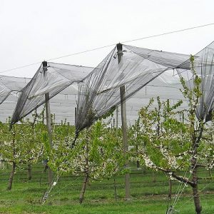 ΕΘΕΑΣ: Καθυστερεί η πρόσκληση για τα αντιχαλαζικά