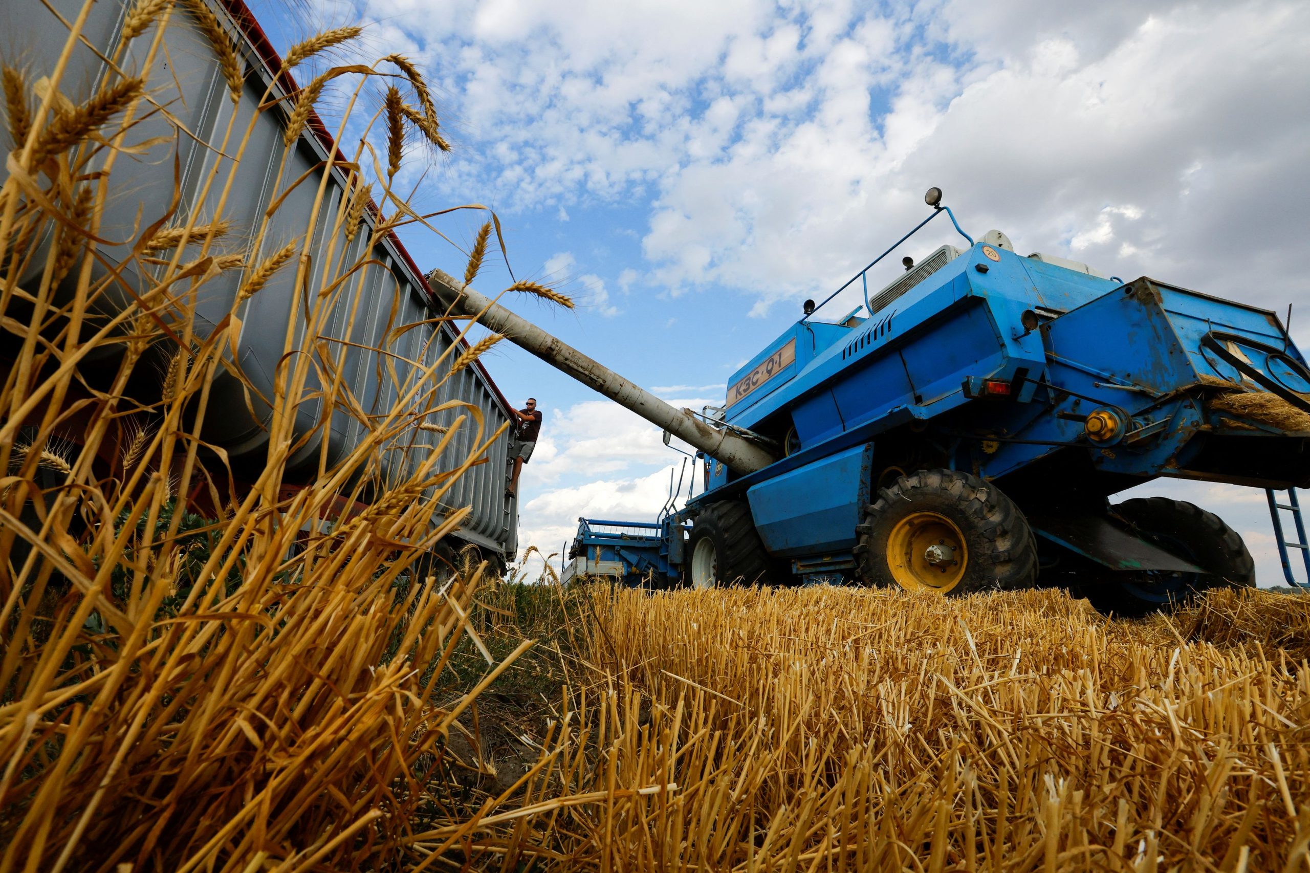 ΕΕ: Το 1/3 των εισαγωγών δημητριακών από Ουκρανία και Ρωσία το 2021