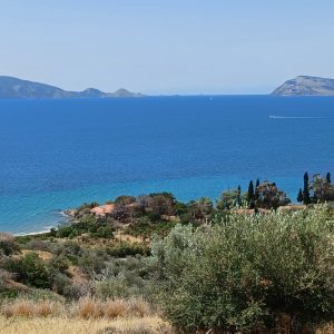 Κοντομηνάς: Νέος ιδιοκτήτης για το κτήμα του στο Πόρτο Χέλι
