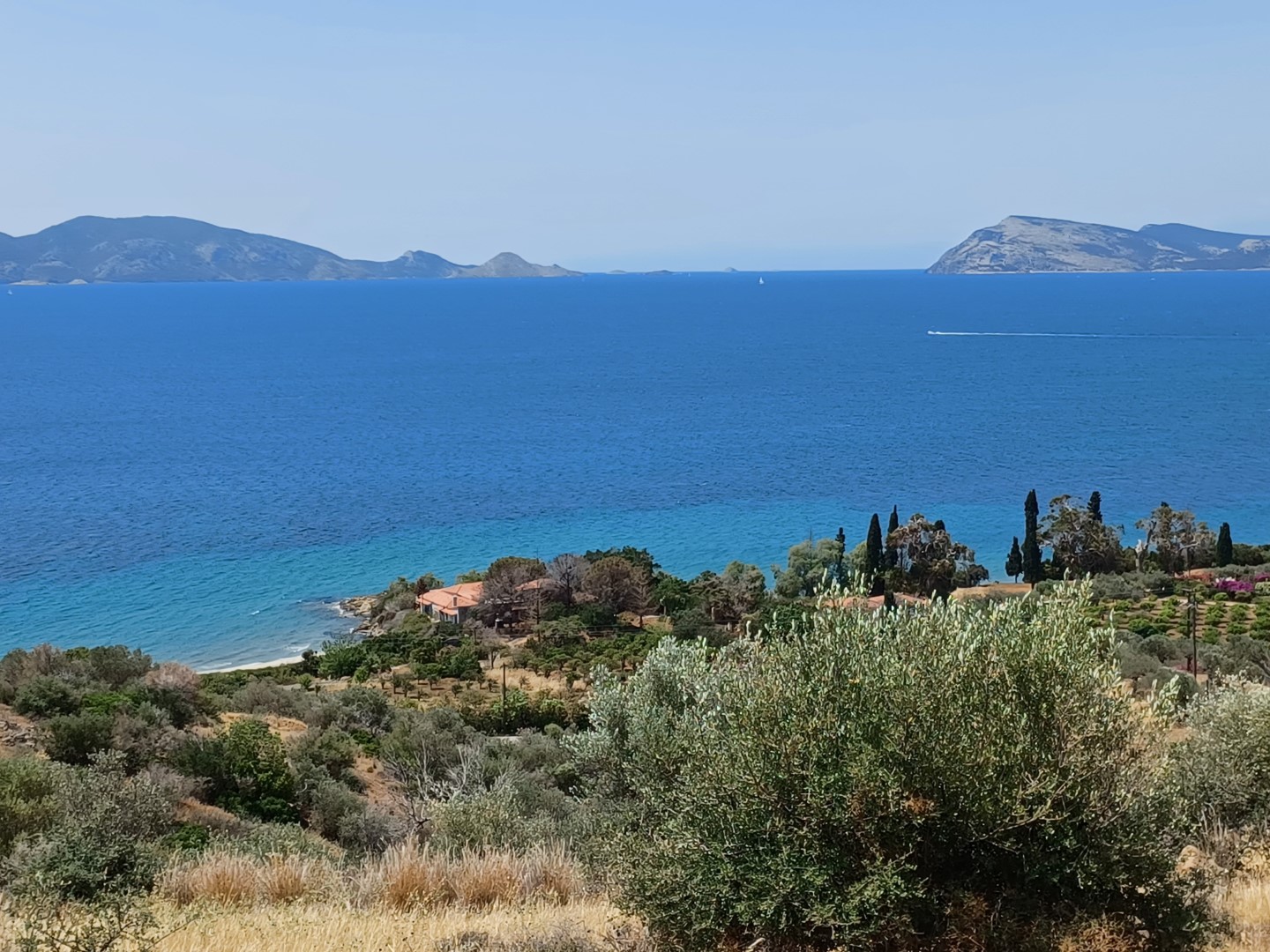 Κοντομηνάς: Νέος ιδιοκτήτης για το κτήμα του στο Πόρτο Χέλι