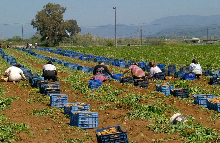 Εργάτες γης: Στη Βουλή η συμφωνία Ελλάδας – Αιγύπτου