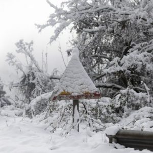 Κακοκαιρία: Άλλη μια δύσκολη μέρα με έντονα φαινόμενα – Καταιγίδες, ισχυροί άνεμοι και χιόνια σε χαμηλά υψόμετρα