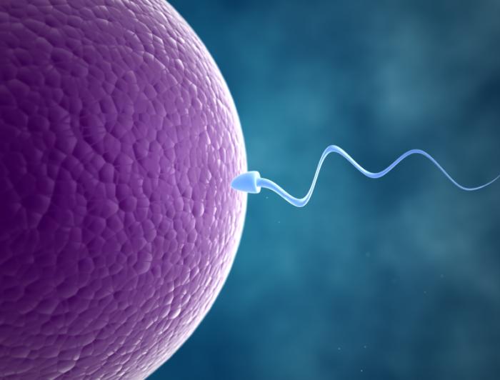 In vitro fertilization in Greece: Controlling the whole course from donor to birth