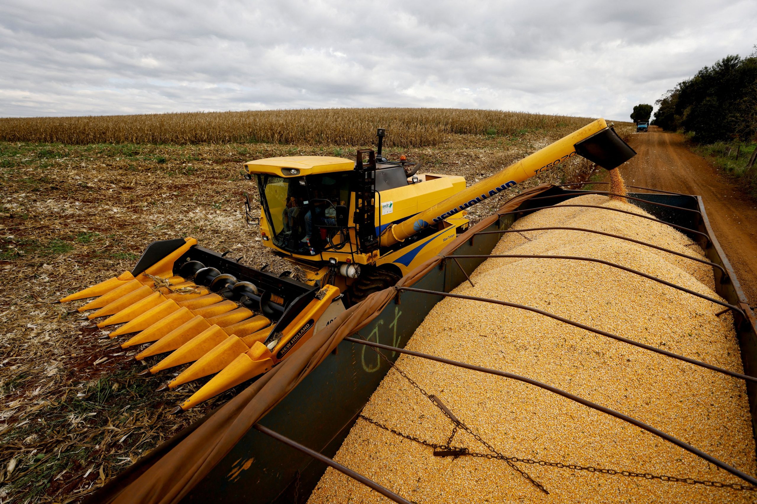ΗΠΑ: Μεγάλη στροφή των καλλιεργητών στο καλαμπόκι