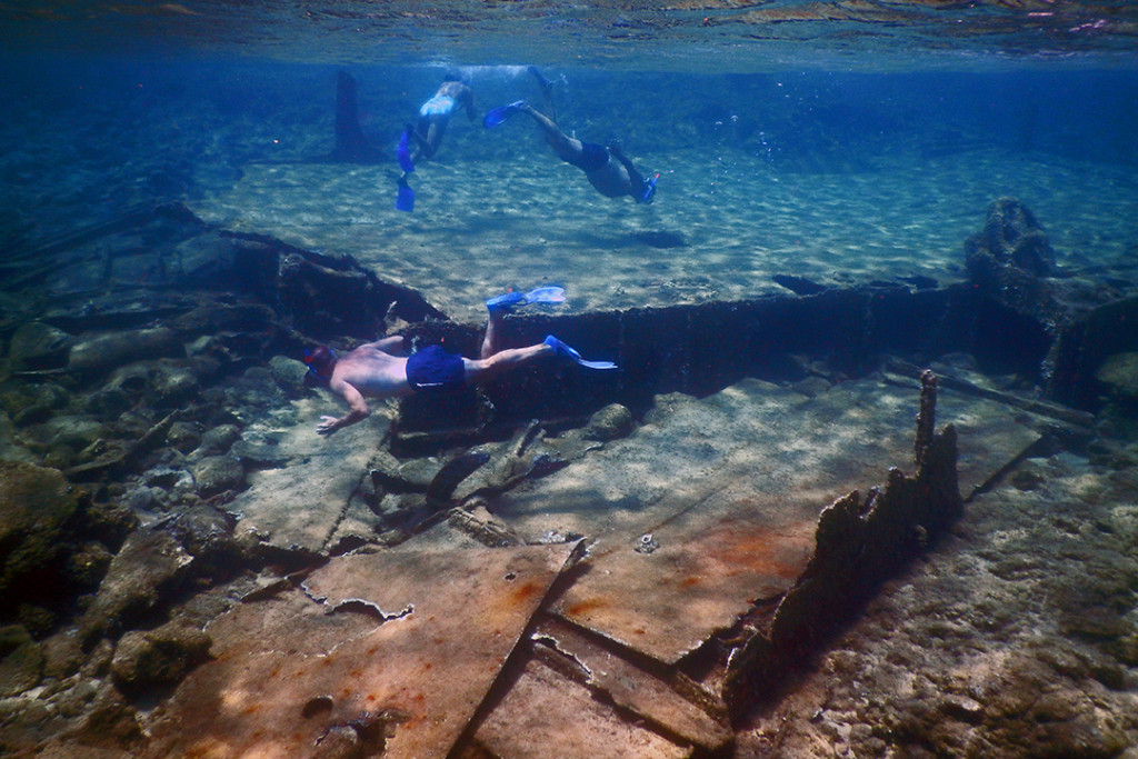 Alonissos: The No. 1 diving destination in the world