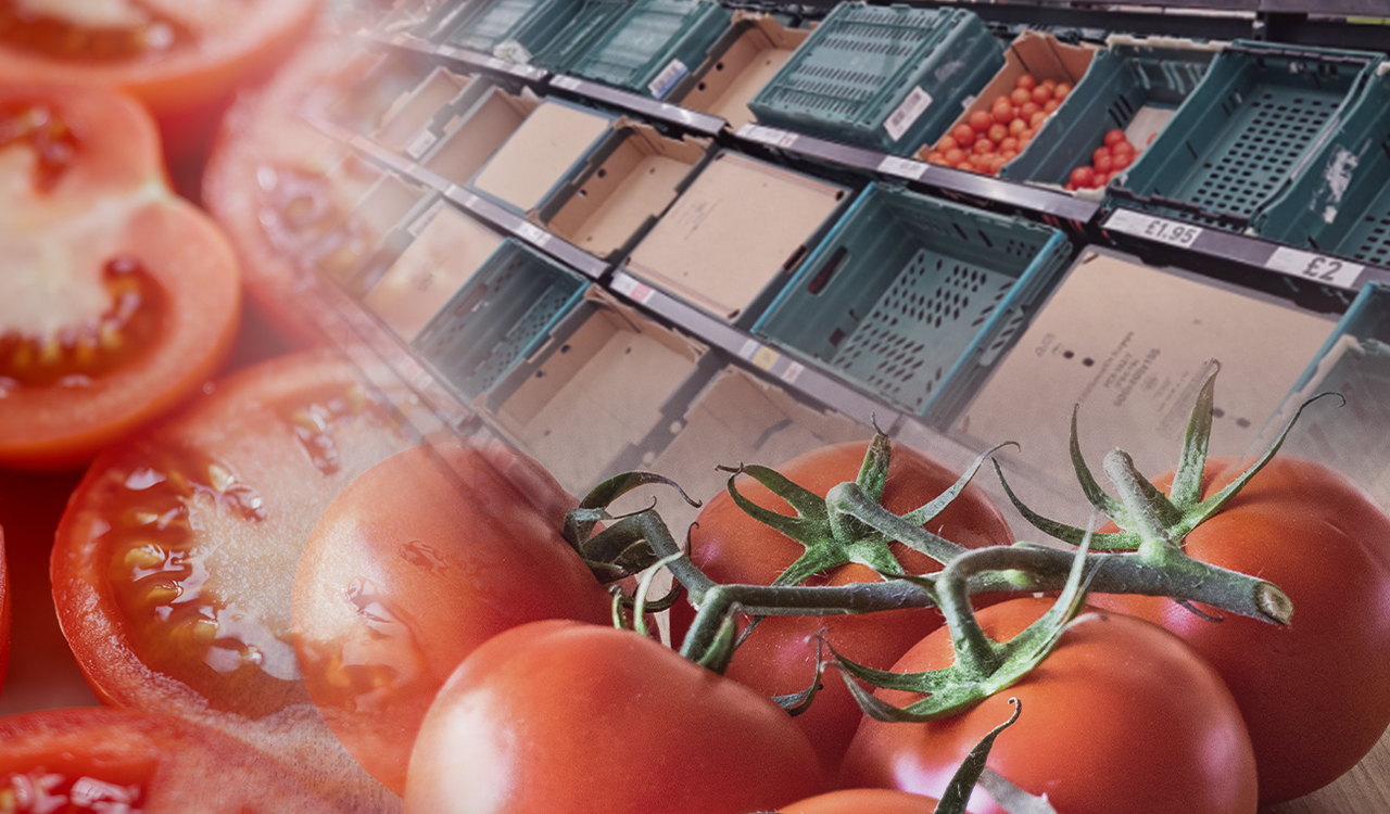 Βρετανία: Ελλείψεις στις ντομάτες καθώς επηρεάστηκαν οι εισαγωγές [εικόνες]