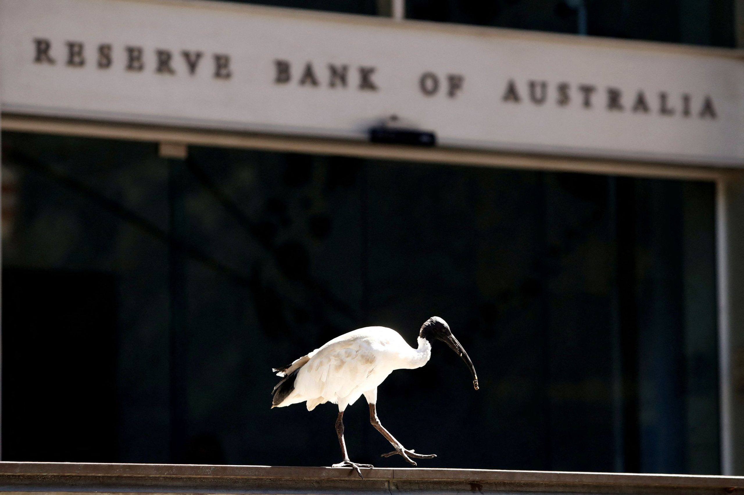 Αυστραλία – Κεντρική τράπεζα: Νέα αύξηση επιτοκίων, περαιτέρω «σκλήρυνση» πολιτικής