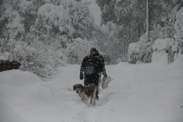 Κακοκαιρία «Μπάρμπαρα»: Δύσκολο τριήμερο με χιονοκαταιγίδες και πολικές θερμοκρασίες