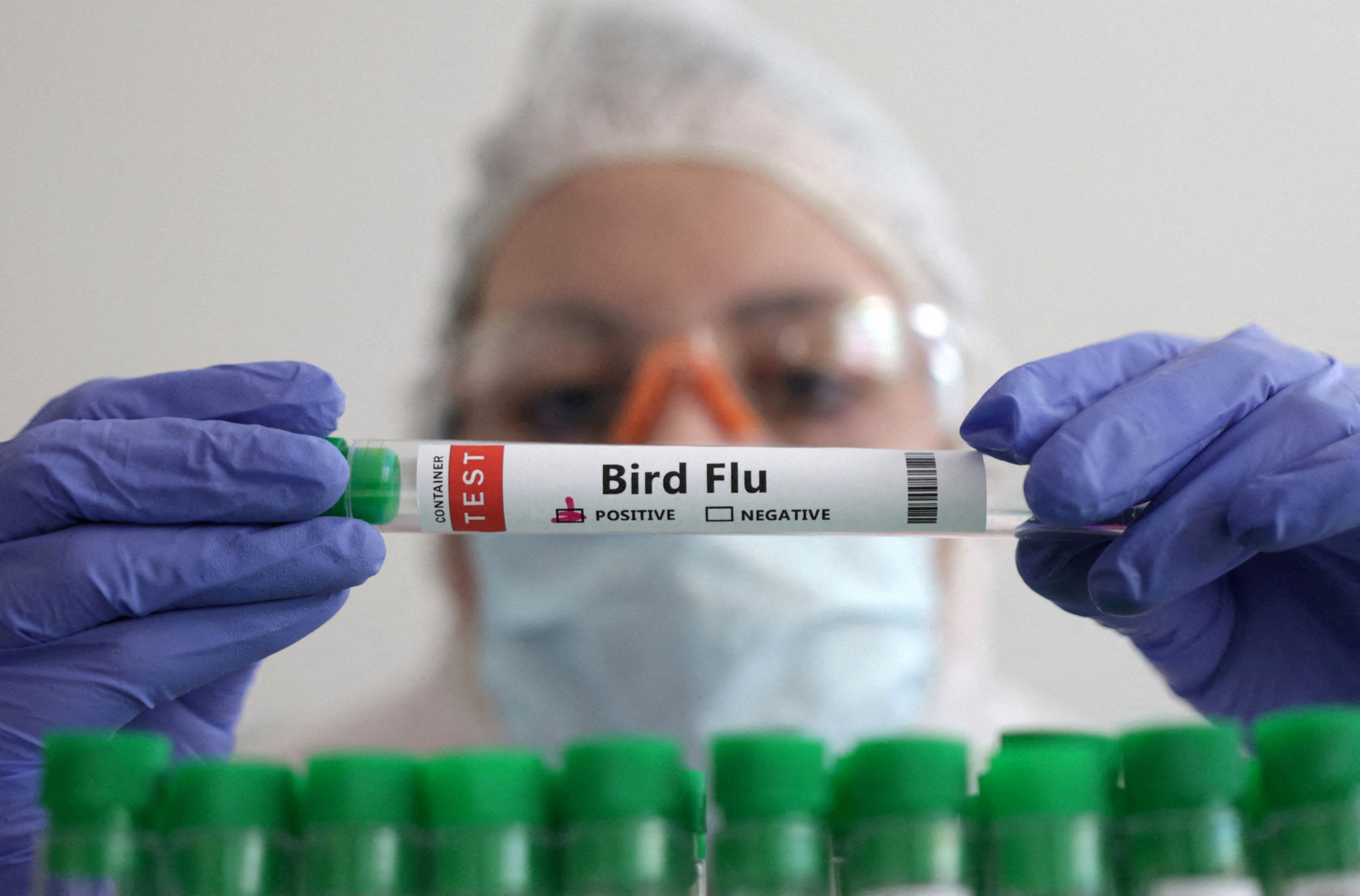 Γρίπη των πτηνών: Οι φαρμακοβιομηχανίες ετοιμάζουν εμβόλια για περίπτωση ανάγκης