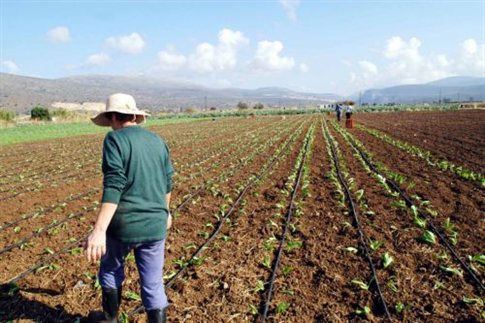 Eurostat: Μικρότερο το εισοδηματικό χάσμα μεταξύ των δύο φύλων στις αγροτικές περιοχές