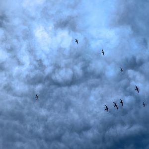 Kαιρός: Ηλιοφάνεια και λίγες νεφώσεις σήμερα – Έρχεται κακοκαιρία την Τετάρτη