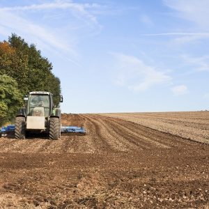 Αγροτική γη: Πώς κυμάνθηκαν οι τιμές αγοράς αγροκτημάτων και ελαιώνων