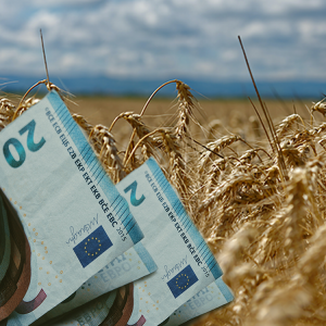 ΚΑΠ: Όλες οι πηγές χρηματοδότησης για τους αγρότες