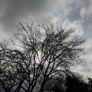 Καιρός: Συννεφιάς… συνέχεια και σήμερα – Σε ποιες περιοχές θα βρέξει