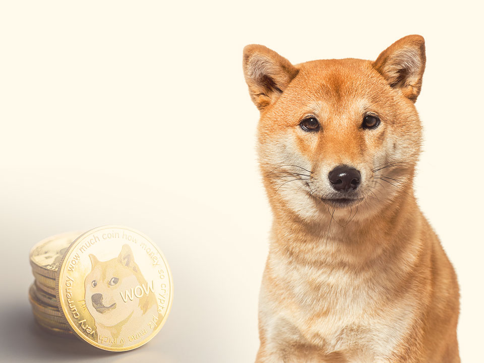 Crypto: O κίνδυνος μιας απότομης πτώσης για τα meme coins