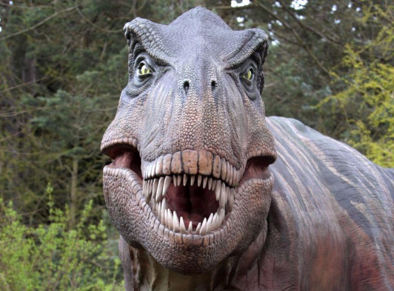Δημοπρασίες: Δείτε πόσο πωλήθηκε ο γιγάντιος σκελετός Tyrannosaurus Rex [εικόνες]