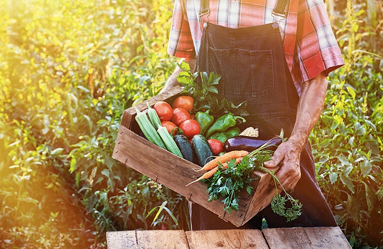 EFSA: Υπάρχουν υπολείμματα φυτοφαρμάκων στα τρόφιμα; – Ποια προϊόντα ελέγχονται