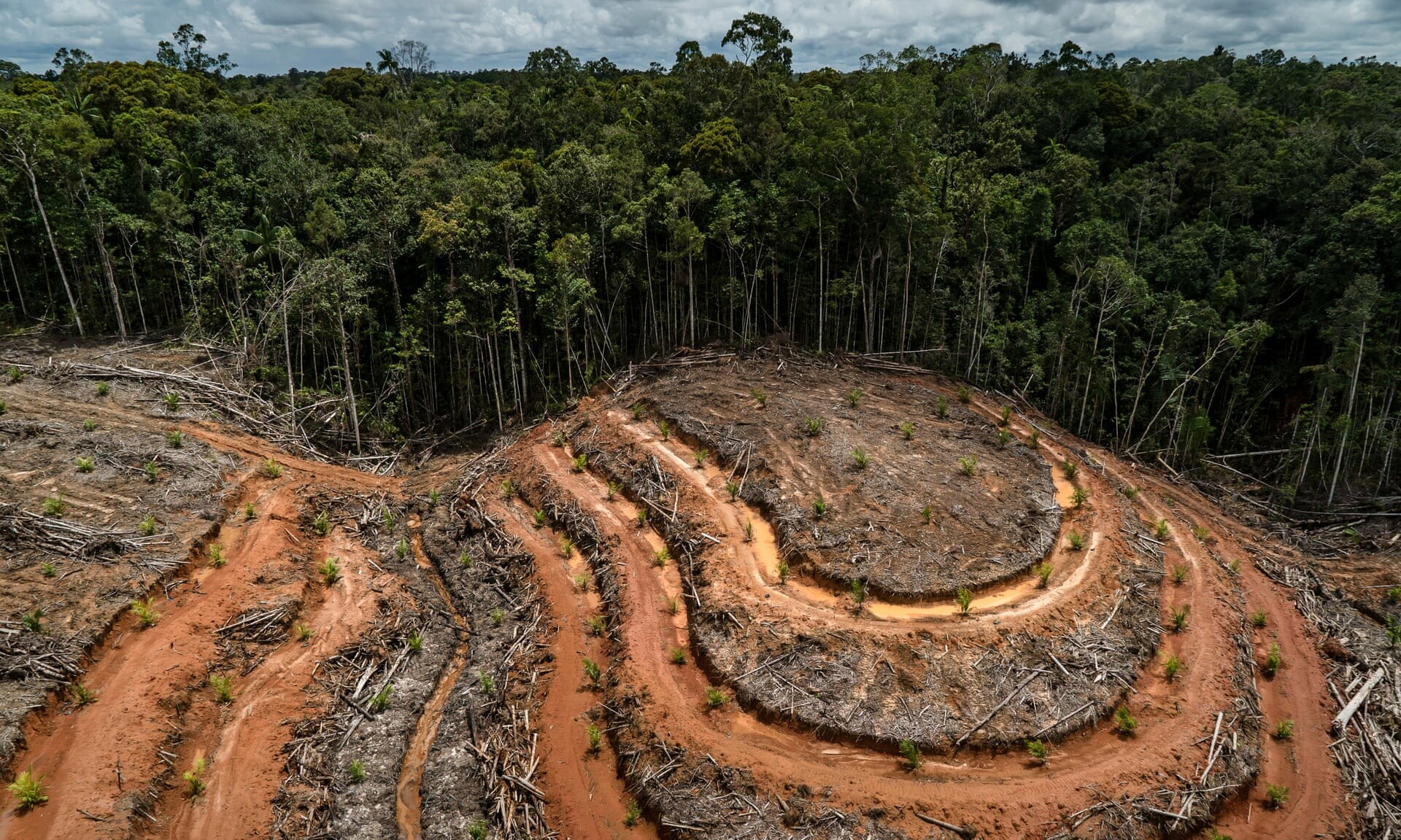 Κλιματική αλλαγή: Η Ευρώπη θέλει να περιορίσει την καταστροφή των δασών