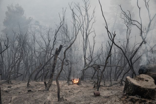 Και πάλι η Εύβοια μετά τον Εβρο, η ανησυχία στο Μέγαρο Μαξίμου, επικοινωνιακό ναυάγιο και πυρκαγιές στα ράφια των σούπερ μάρκετ