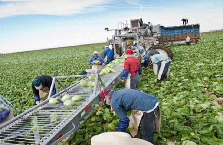Εργάτες γης: Στο ΦΕΚ οι άδειες διαμονής για εργασία – Πώς επιμερίζονται στον πρωτογενή τομέα