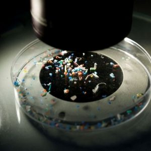New Study Links Chemicals in Plastics to Heart Disease