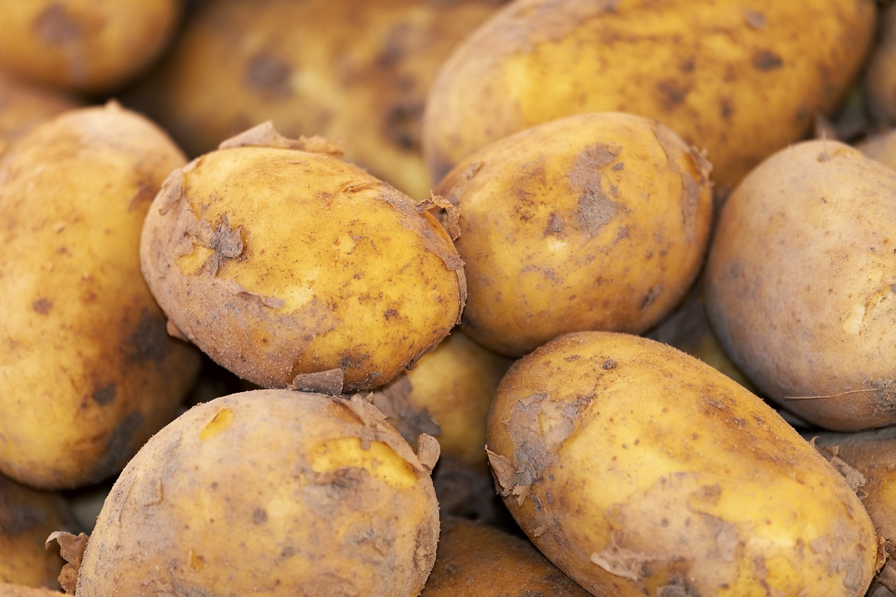 Σέρρες: Σαπίζουν στις αποθήκες οι πατάτες – Σε αδιέξοδο οι παραγωγοί