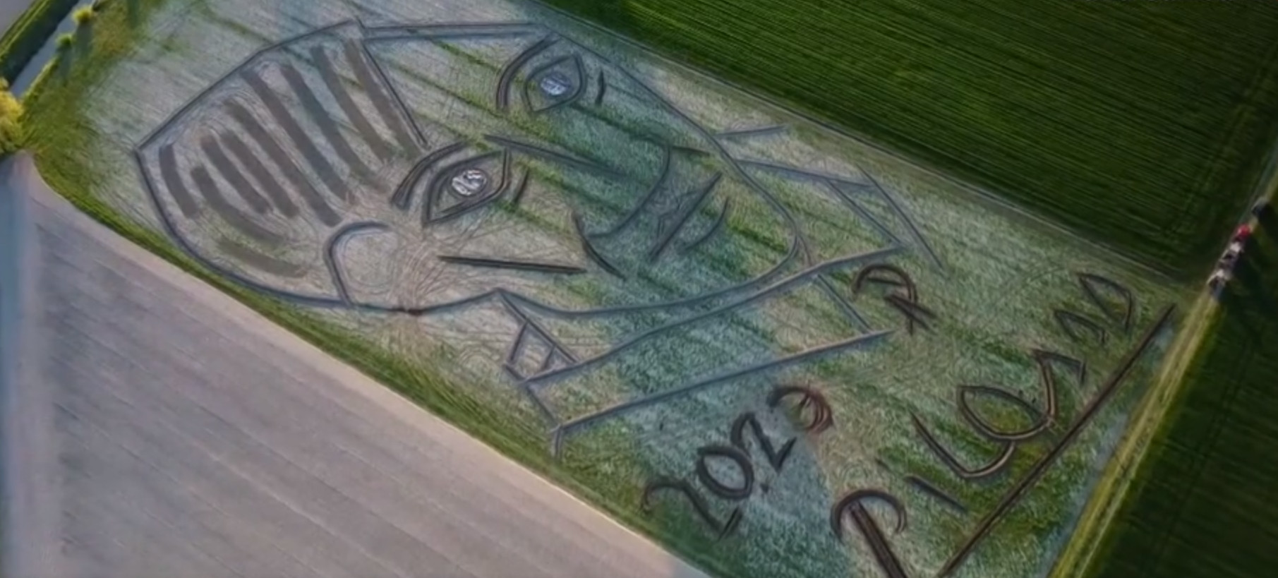 Ιταλία: Καλλιτέχνης «ζωγράφισε» με τρακτέρ πορτρέτο του Πικάσο σε χωράφι