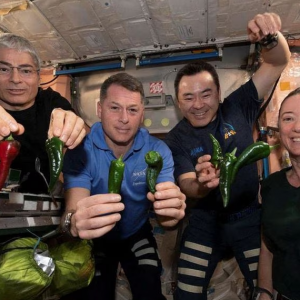 NASA: Διαστημική παραγωγή τροφίμων