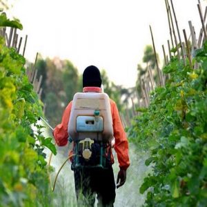 Φυτοφάρμακα: Σχεδόν ένας στους δύο αγρότες παγκοσμίως δηλητηριάζεται κάθε χρόνο