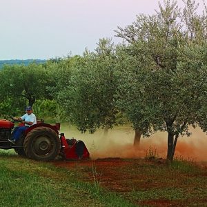 Σχέδια βελτίωσης: Από Σεπτέμβριο η υποβολή των αιτήσεων