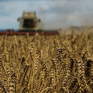 Λαβρόφ: «Καμπανάκι» στη Δύση για το μέλλον της συμφωνίας με τα σιτηρά