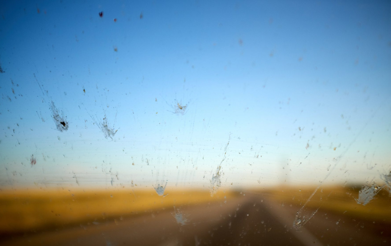 «Φαινόμενο του παρμπρίζ»: Τα έντομα που σκοτώνουμε ενώ οδηγούμε δεν είναι ασήμαντα