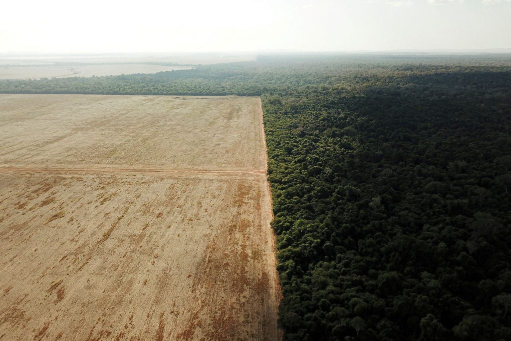 Τροπικά δάση: Ο πλανήτης «έχασε» μια ολόκληρη… Ολλανδία το 2022