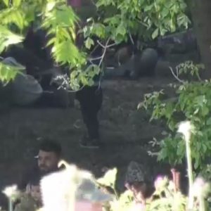 Μετανάστες στον Έβρο: Ξεκίνησε η επιχείρηση διάσωσης από τις ελληνικές αρχές