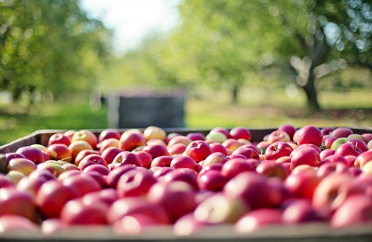 WAPA: Λιγοστεύουν τα ευρωπαϊκά αποθέματα μήλων και αχλαδιών
