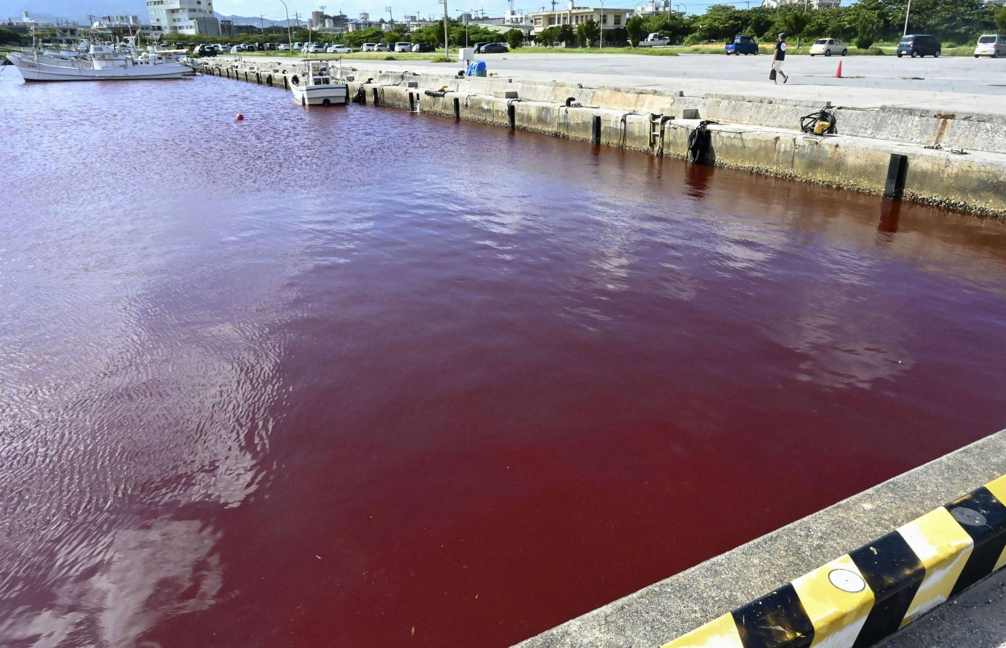 Ιαπωνία: Η διαρροή σε εργοστάσιο μπύρας «έβαψε» τη θάλασσα κόκκινη