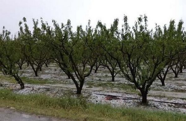 Flood-ravaged central Greece braces for another severe storm front