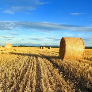 Ουκρανία: Τριετές σχέδιο έκτακτης ανάγκης για τη γεωργία