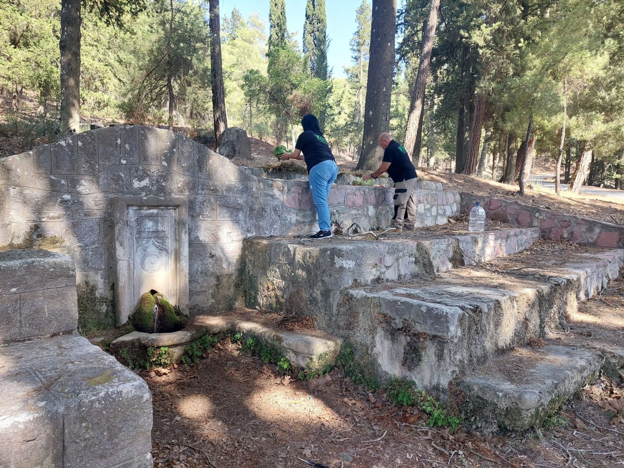 Ρόδος: Εθελοντές αφήνουν φαγητό και νερό για τα ζώα στα καμένα – Συγκινητικές εικόνες