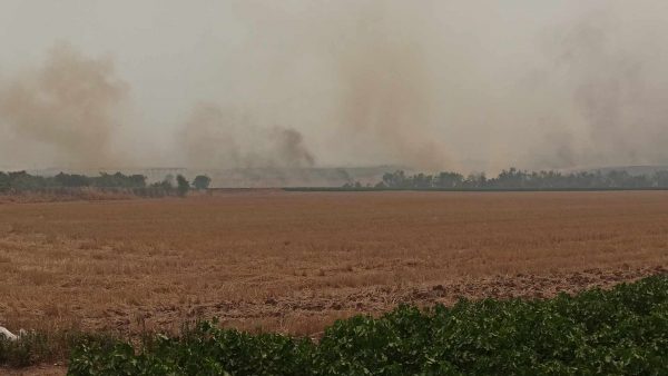 Φωτιές στη Μαγνησία: Επιχείρηση απεγκλωβισμού εργαζομένων σε εργοστάσιο στο Σέσκλο