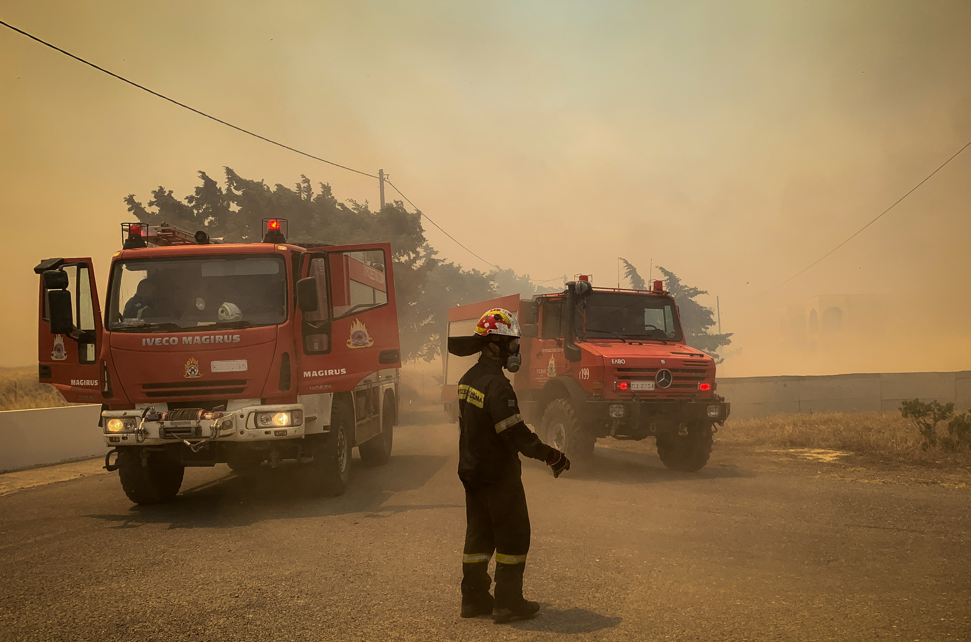 Wildfires in Greece: Highest land area burned in 13 years